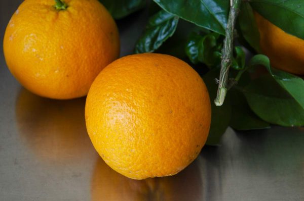 Marmellata di Arancio Biondo tardivo di Trebisacce - 250 grammi - immagine 4
