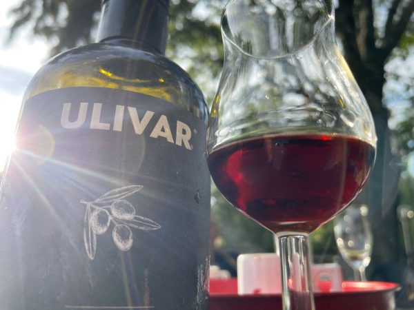 ulivar Amaro alle Olive di Calabria